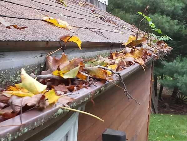 Eastern South Carolina clogged gutters