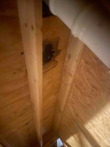 Damaged Plywood